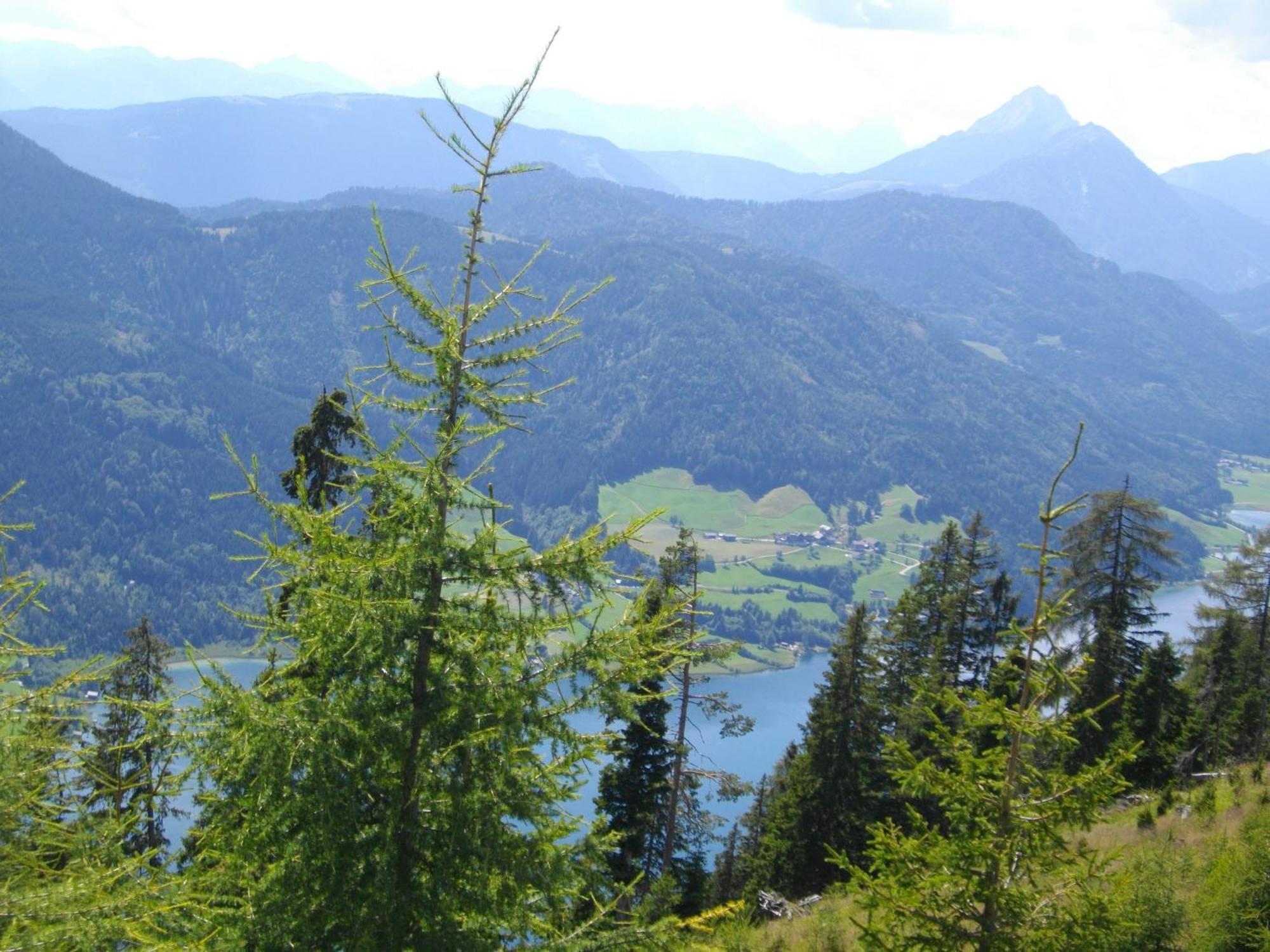 Apartamento Haus Birke Weissensee Exterior foto
